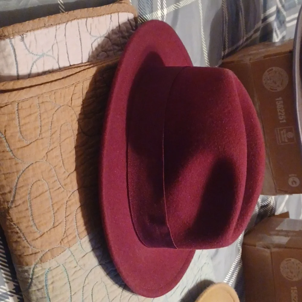Stylish Men's Fedora Hat Collection - Picture 9 of 14